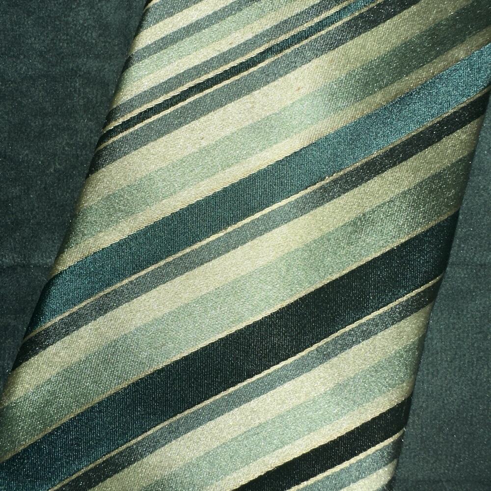 BCBG Attitude Green Striped Dress Tie